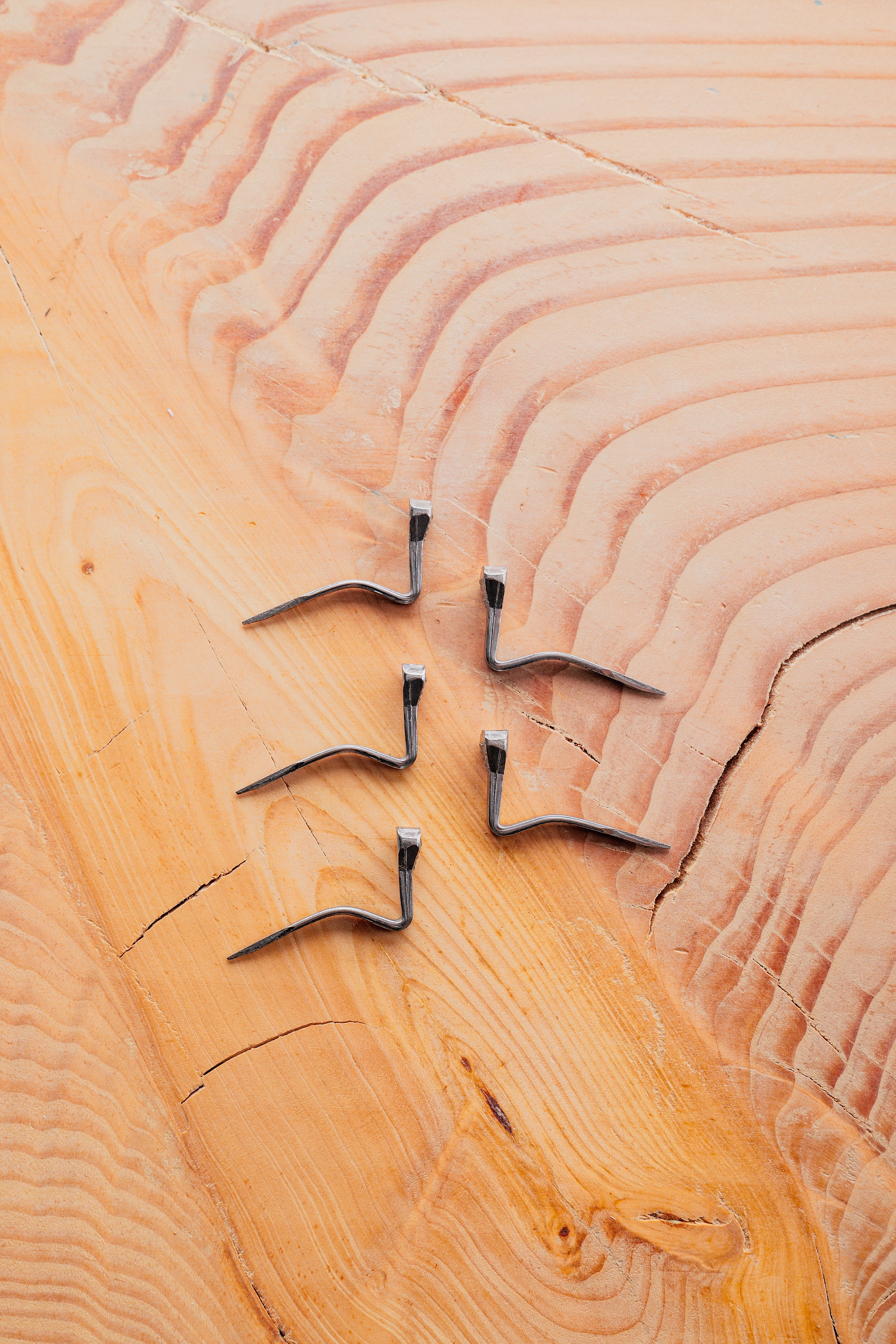 Horseshoe Nail for Logging Tapes (Single)