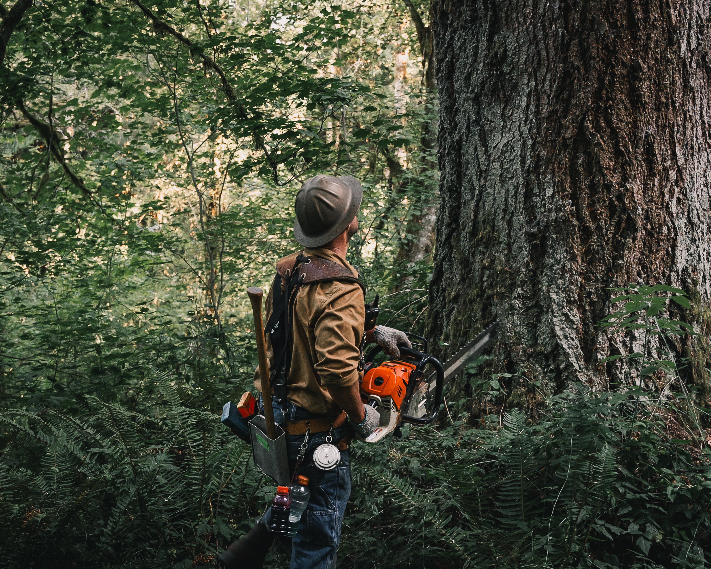 Bark Box® Muffler Cover