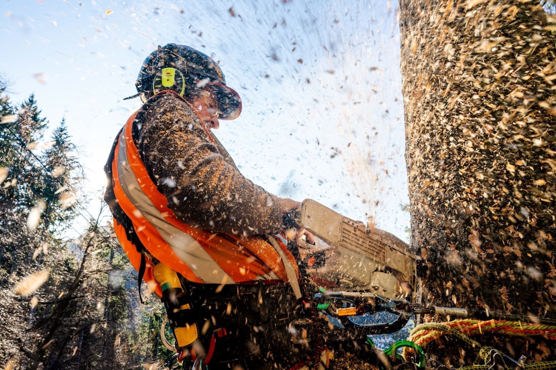 Oregon Chainsaws vs. Competitors: What Sets Them Apart?