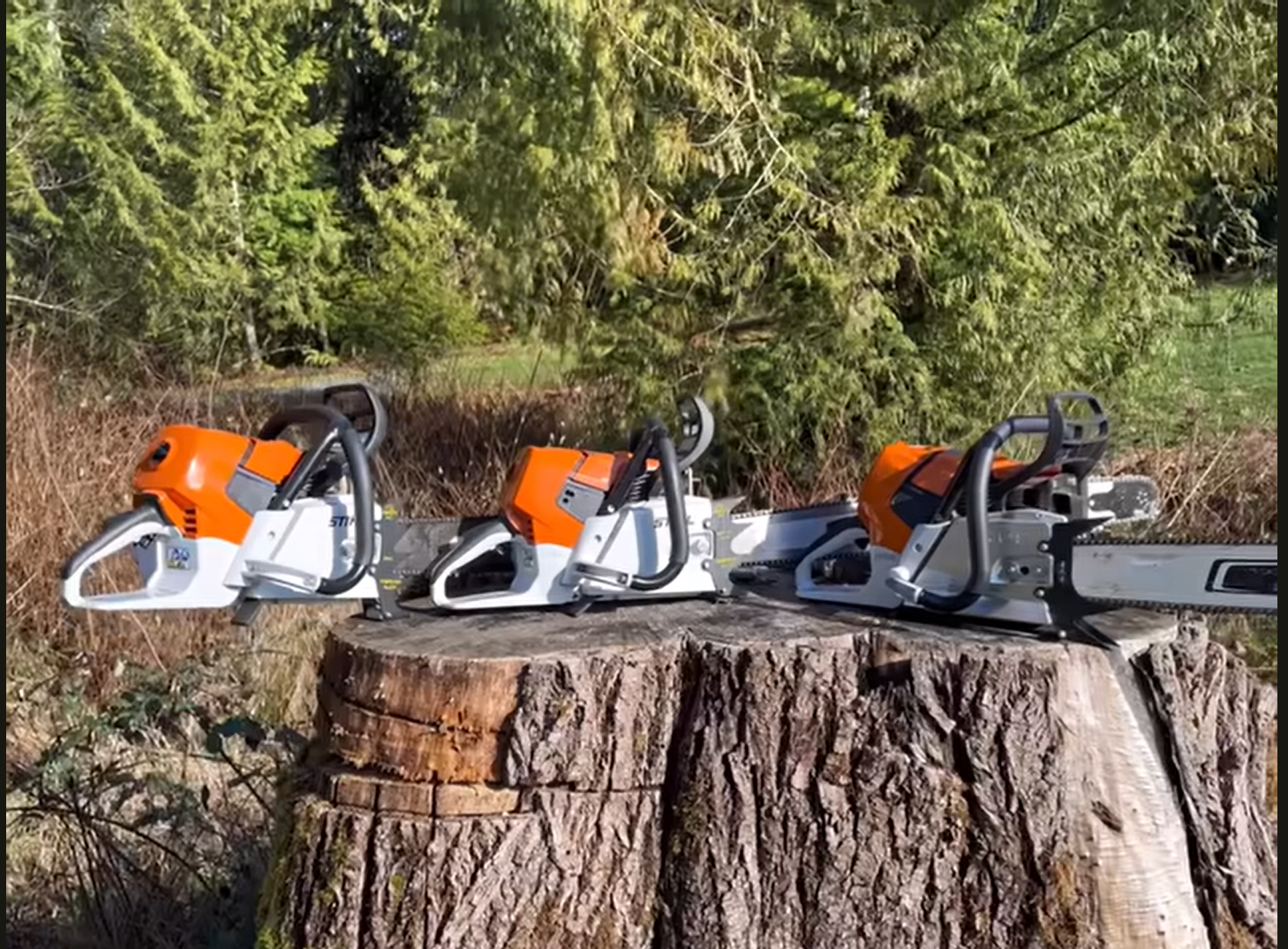 What's the Difference Between 3-Point, 4-Point, and 5-Point Felling Do