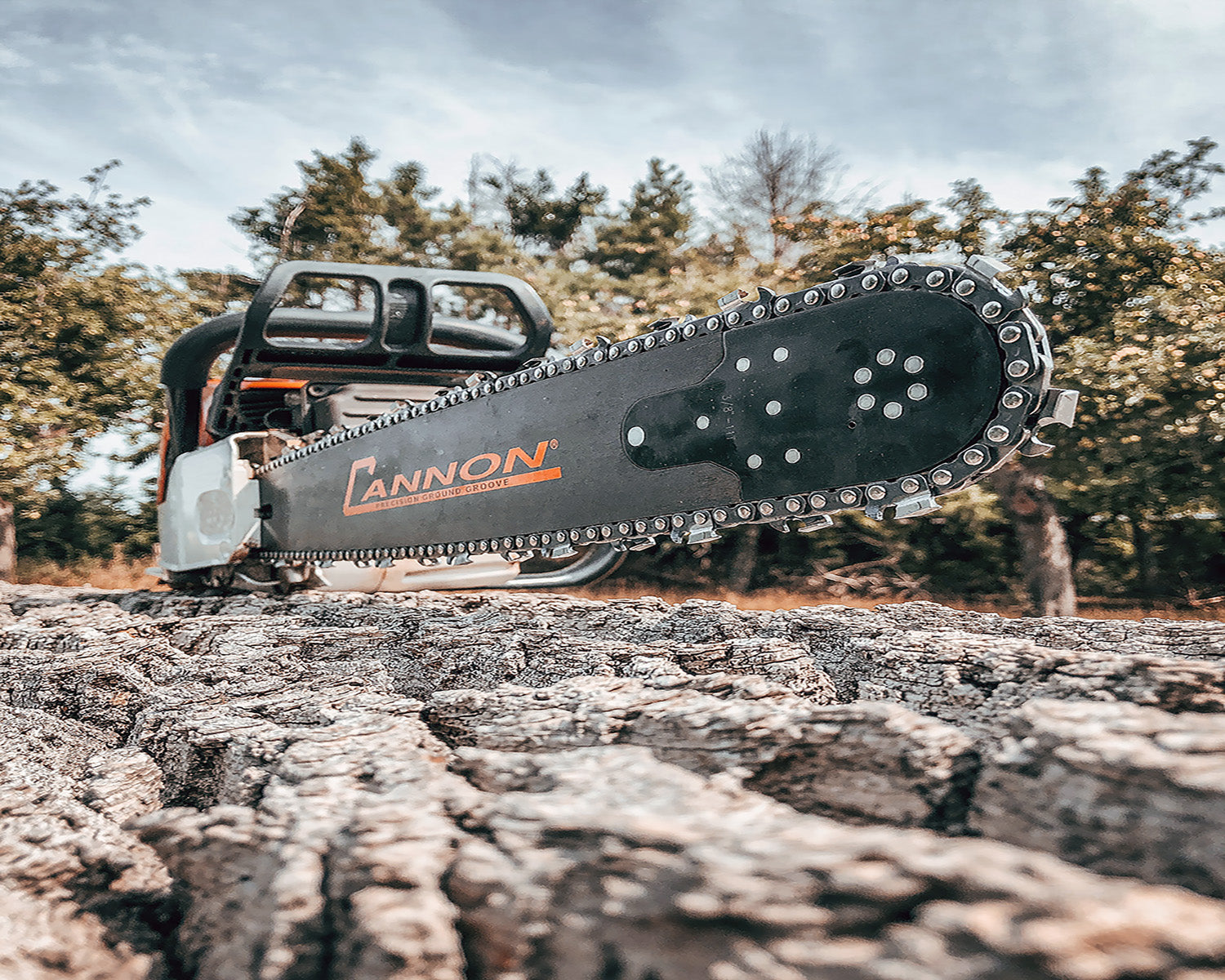 Chainsaw Bars