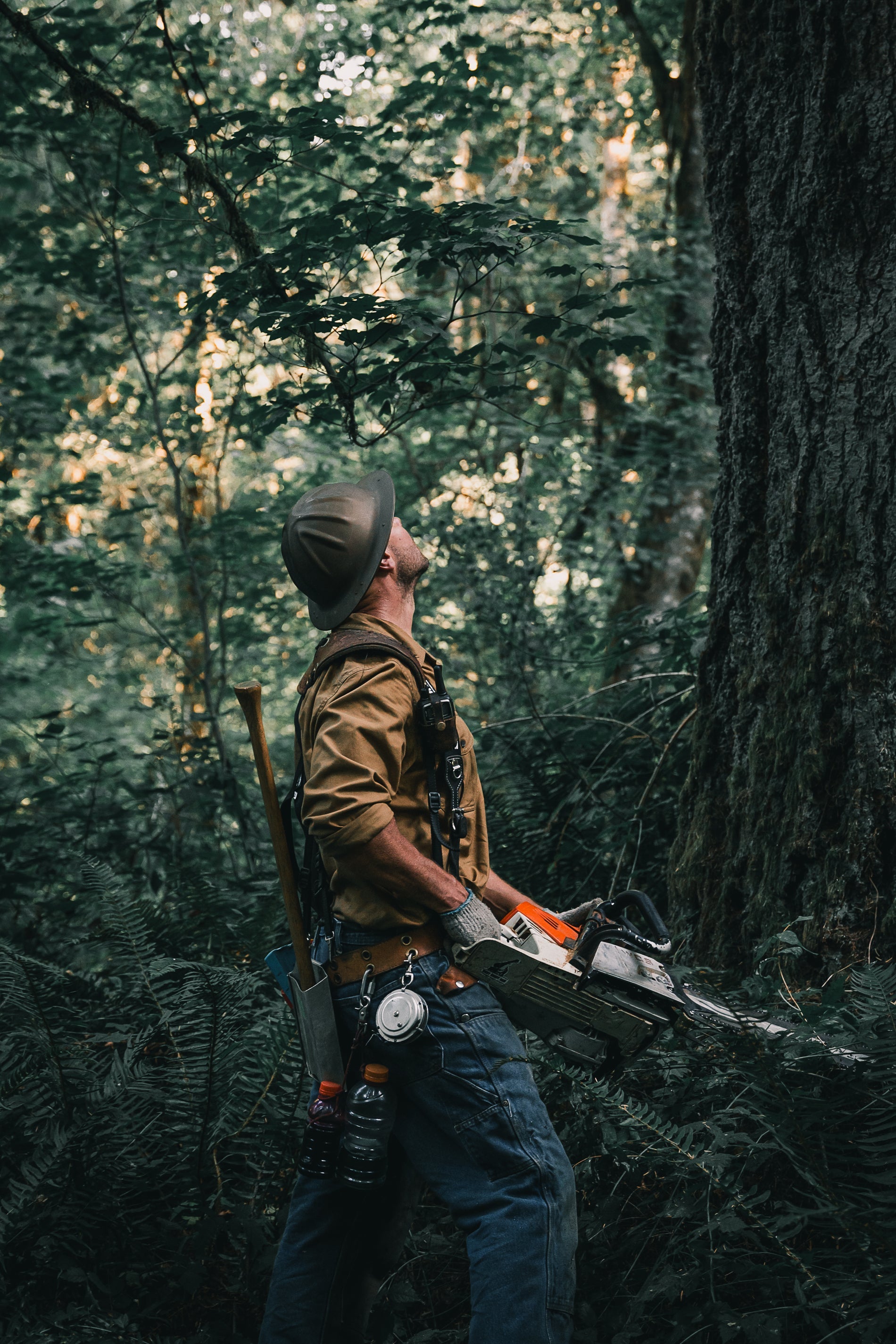 Premium Chainsaw Accessories