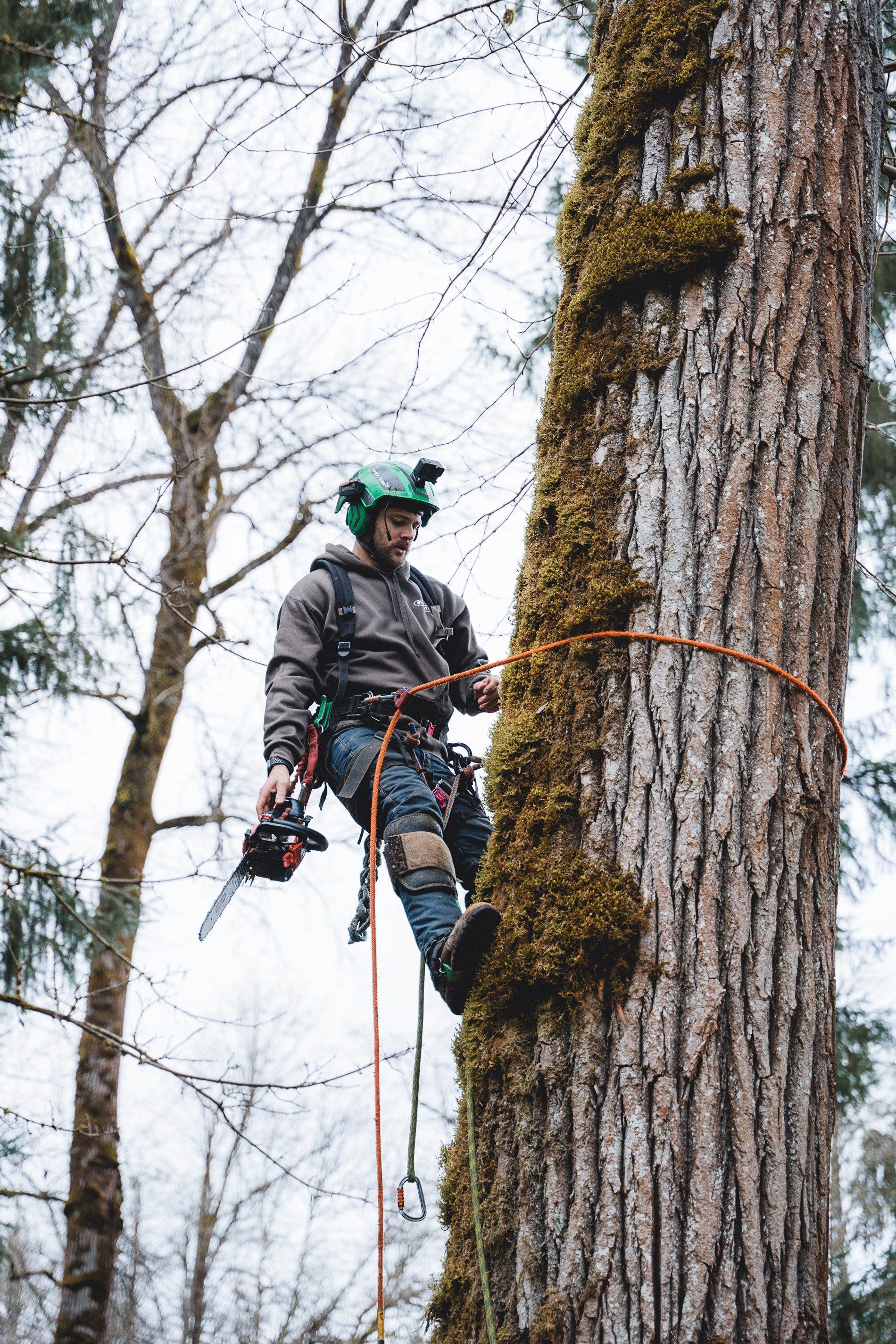 SpeedCut Nano™ Conversion Kit